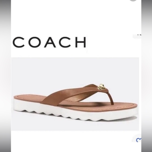 Coach Shoes - COPY - Coach Shelley flip flops
